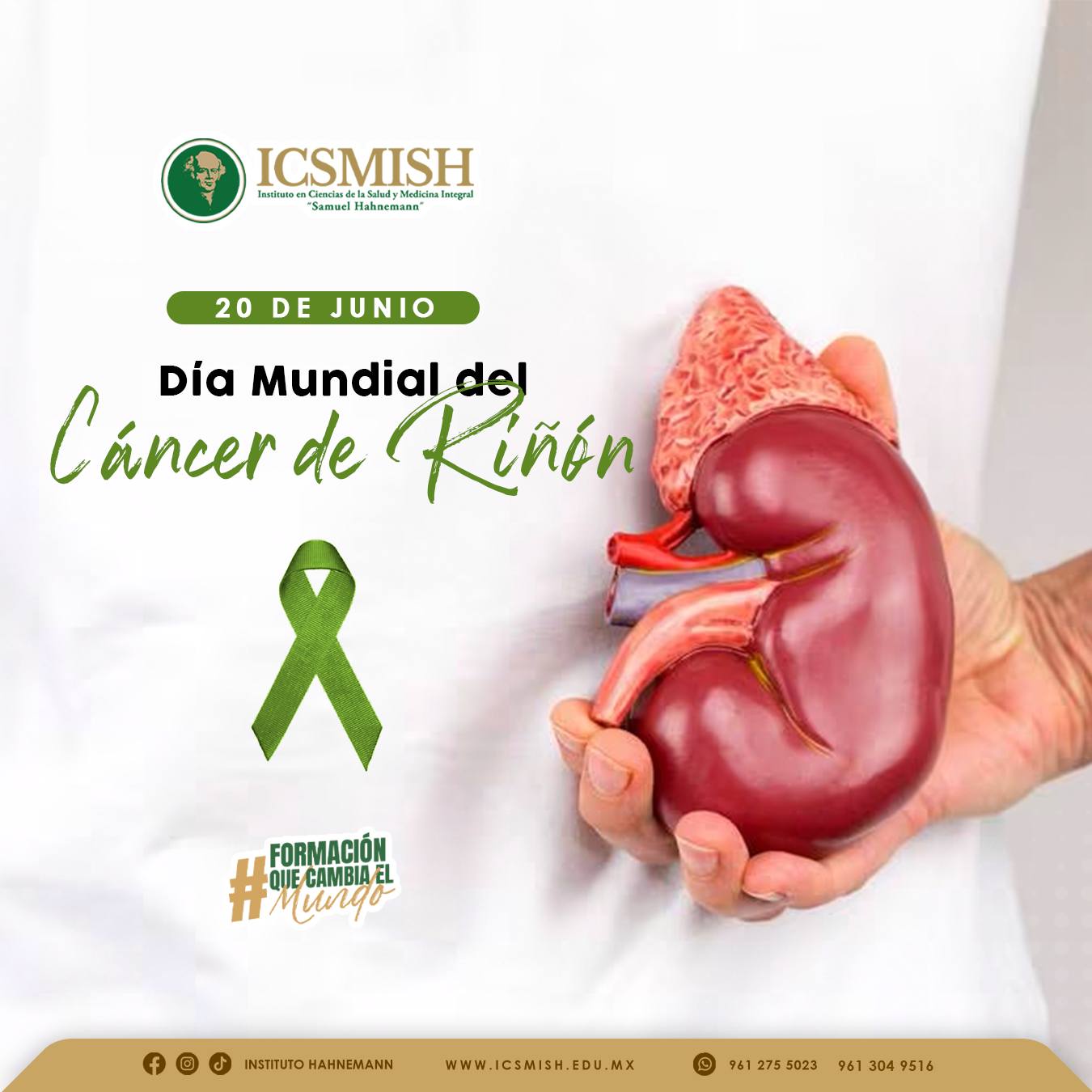 Seminario de investigación